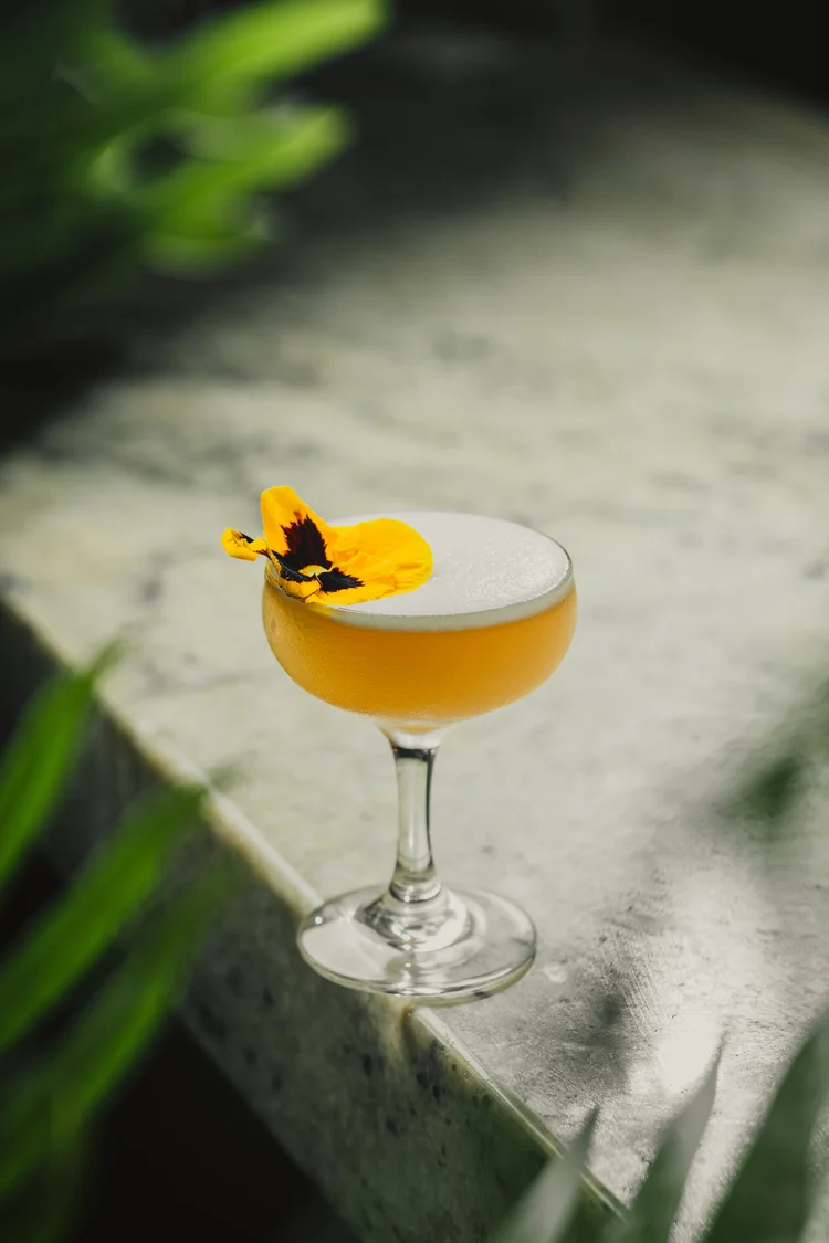 Mango Bay food photography by Foreign Kollective in New York City